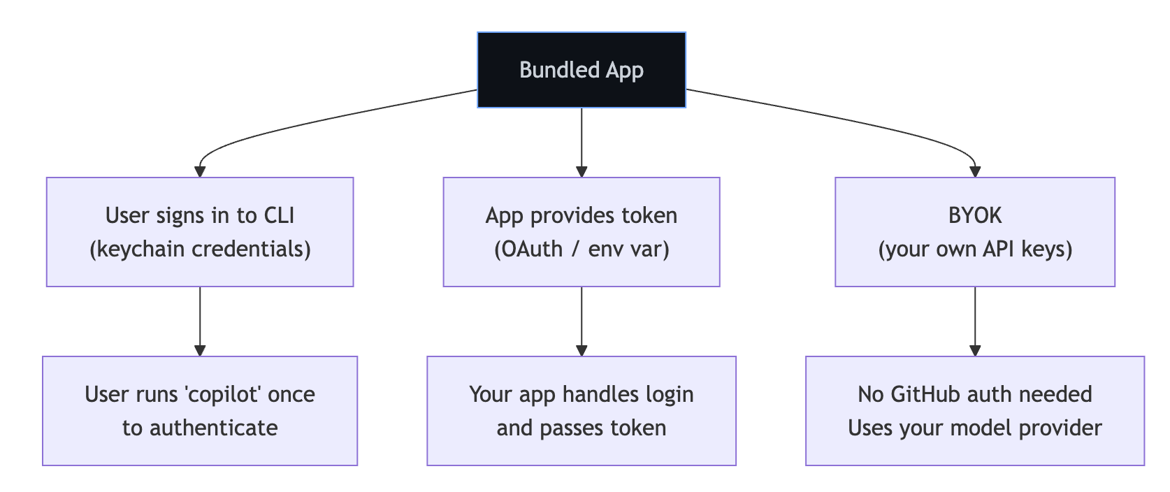 Diagram showing authentication strategy options for a bundled CLI deployment.